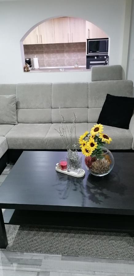 بودابست Little-Oasis Apartment المظهر الخارجي الصورة